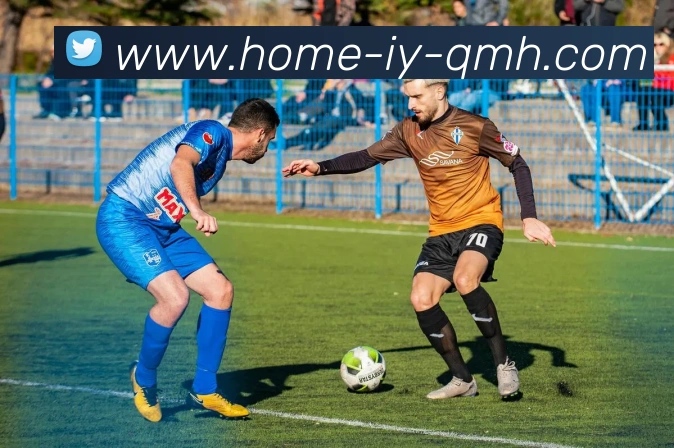 球盟会发展历程